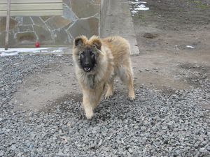 Молодой и привлекательный кабель ищет подружку. #478626