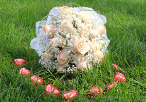 Профессиональные фото-видео услуги,  дизайн,  монтаж DVD #376542