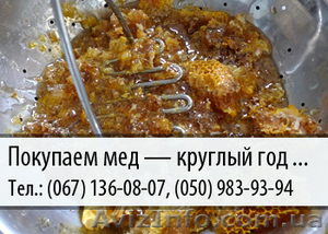 Покупаем мед по Украине – (067) 136-08-07 – (050) 983-93-94 #478832
