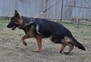 Трансцендентальный #466632