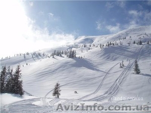 Котедж в карпатах #469406