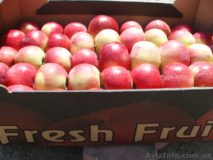 Предлагаем яблоки с Польши! #469832