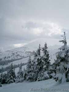 Драгобрат - снежный рай! #470306