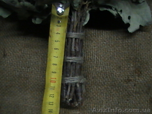 Веники для бани дубовые  #483130