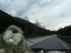 Бесплатные уроки англ.,  франц.,  итал. языков #469478