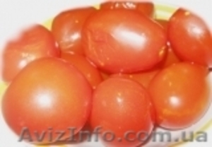 Помидоры квашеные,  помидоры квашеные оптом,  соленья на любой вкус. #469080