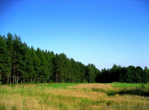 Участок земли под застройку #467802