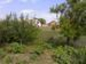 Продам дом в центре Великого Бурлука #482146