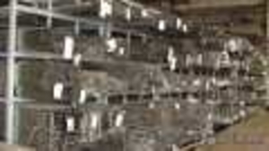 Нержавейка со склада. #471315