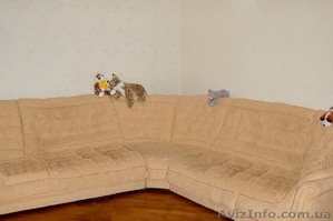 Срочно! Угловой диван раскладной #476957