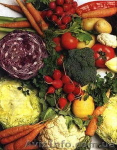 Овощи оптом. Наличие: Капуста,  Морковь,  Тыква. Вырастим под заказ #467471