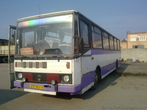 срочно продам автобус #510501