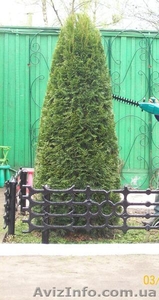 обрезка и уход за садом #518337