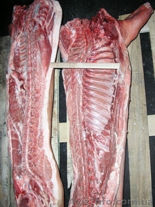 Свинина беконная в полутушах #484549