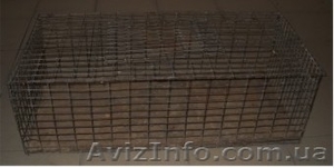 Клетка для транспортировки и торговли птицей #513916