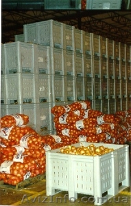 Овощехранилище,  холодильный склад,  морозильная камера промышленная #495820