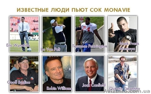 Американская компания Monavie #514115