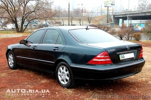 Егор 0506991282 #487200