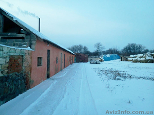 Продается бизнес по выращиванию грибов вешенка #504237