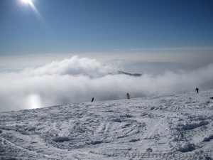 Горнолыжный отдых в Словакии #501316