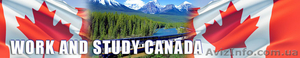 Work and Study CANADA #429919