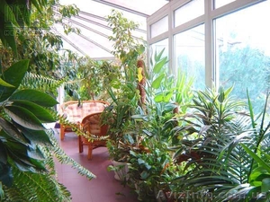 строительство зимних садов #518304