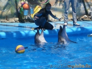 Экскурсии выходного дня от Турагента #514646