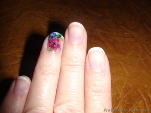 Маникюр  с рисунком #506482