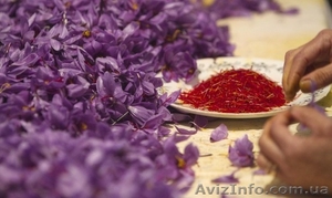 ПРОДАМ ШАФРАН. КАРДАМОН,   Изюм,  мак ЧАЙ В МЕШКАХ #506068