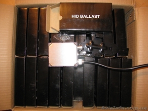 Ксенон от 350 грн. #503232