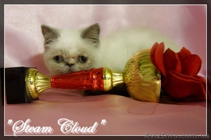  Гимолайская девочка #483241