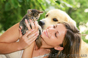 Товары для животных #506281