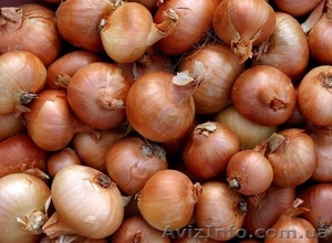 Продам лук Халцедон #494250