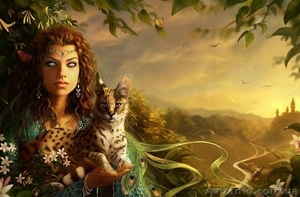 Харьков.Приворот «брачный»,  возврат супругов  в семью навсегда. #496262