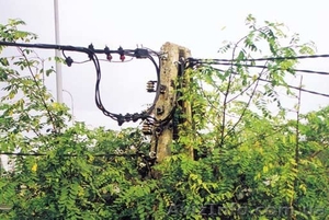 Самонесущий изолированный провод СИП,  САПт,  ASxSn #492098