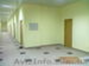 Покраска потолков, стен в Киеве. #497330