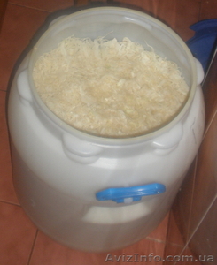 продам капусту квашенную #499972