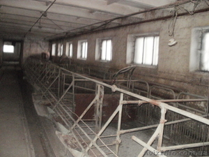 свинарник под розборку #484290