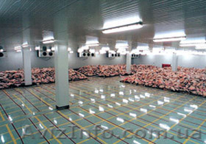 Реконструкция подвала в овощехранилище или  холодильник морозильные камеры #495832