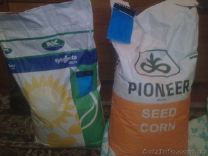 Продам семена посевной кукурзы и подсолнуха #527050