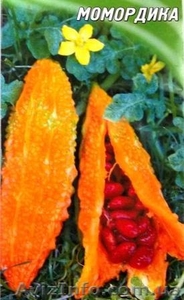 момордика - оранжевый огурец #527525