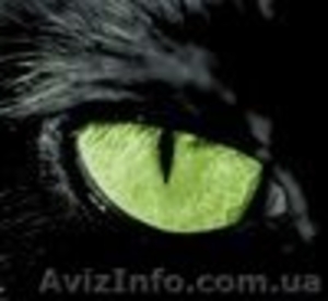 Приворот.Гарантия 100 %. Результат от трех дней до 8 дней #554843