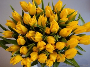 тур берегово 8 марта,  тур ужгород 8 марта,  туры в закарпатье 8 марта #531764