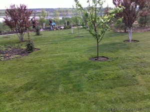 рулонные газоны #530023