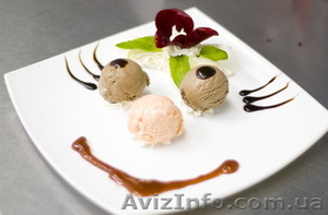 Мягкое мороженое,  молочные коктейли,  сухие натуральные готовые смеси,  ингредиент #537745