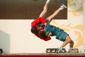 Боевое самбо!!! #525535