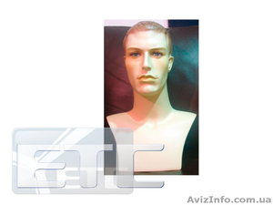 Мужские манекены Украина ЕТС #551226