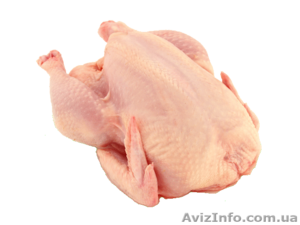 Курица суповая,  цыпленок-бройлер. #538007