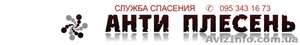 Удаление плесени и грибка #551672