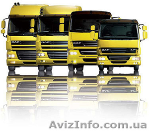 Запчасти на грузовые иномарки DAF (Даф)  #552098